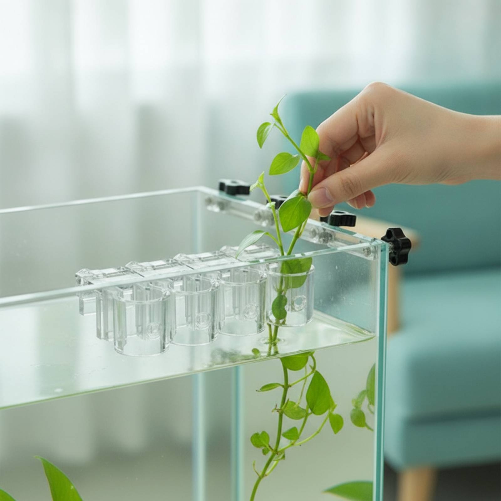 Aquarium Planting - 6 Piezas de Soportes Transparentes para
