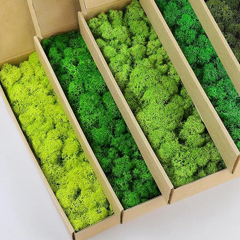 Aquarium Plant Seeds - Plantas verdes artificiales de 20-200g, hierba
