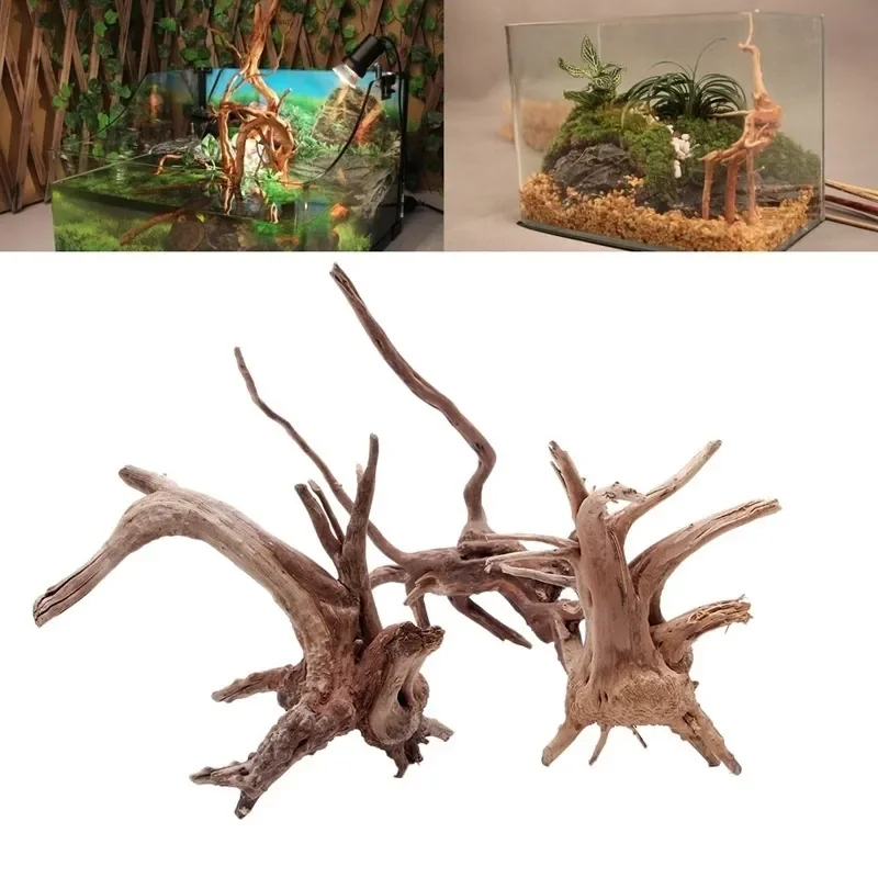 Aquarium Plant Live - Tronco de árbol Natural de madera