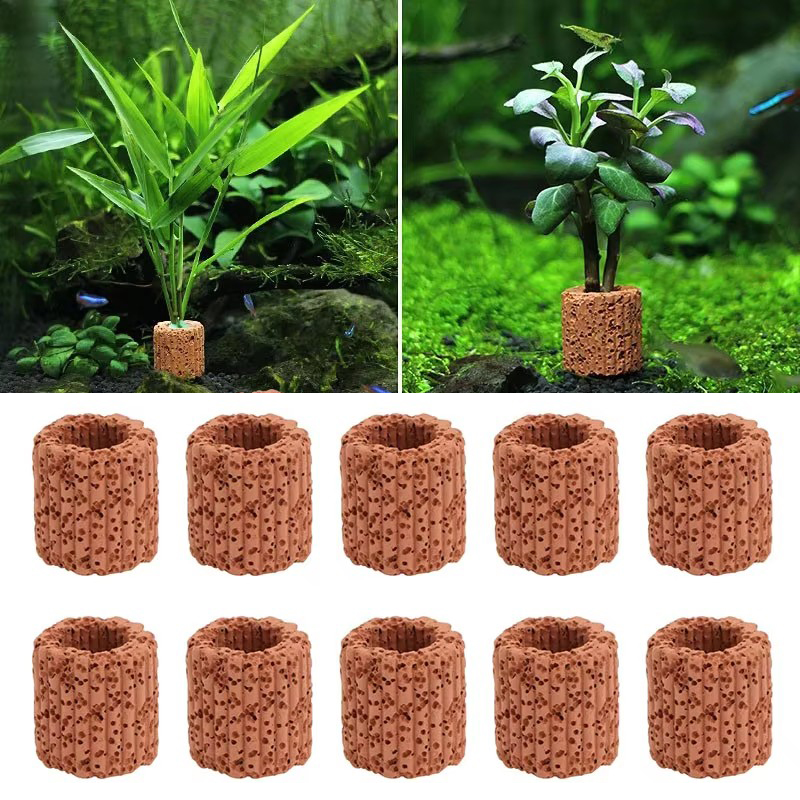 Aquarium Plant Live - Anillo fijo para plantas acuáticas, para