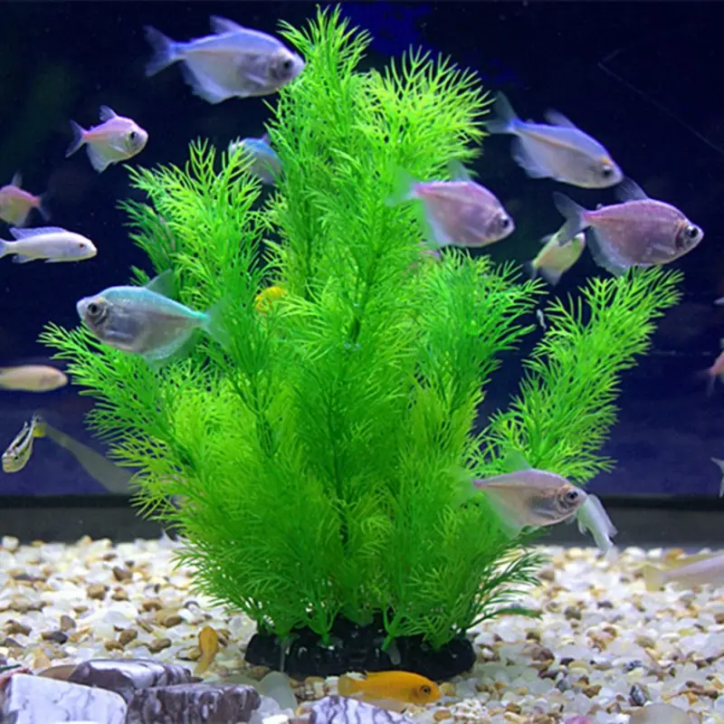 Aquarium Plant Seeds - Plantas artificiales para decoración de acuario,