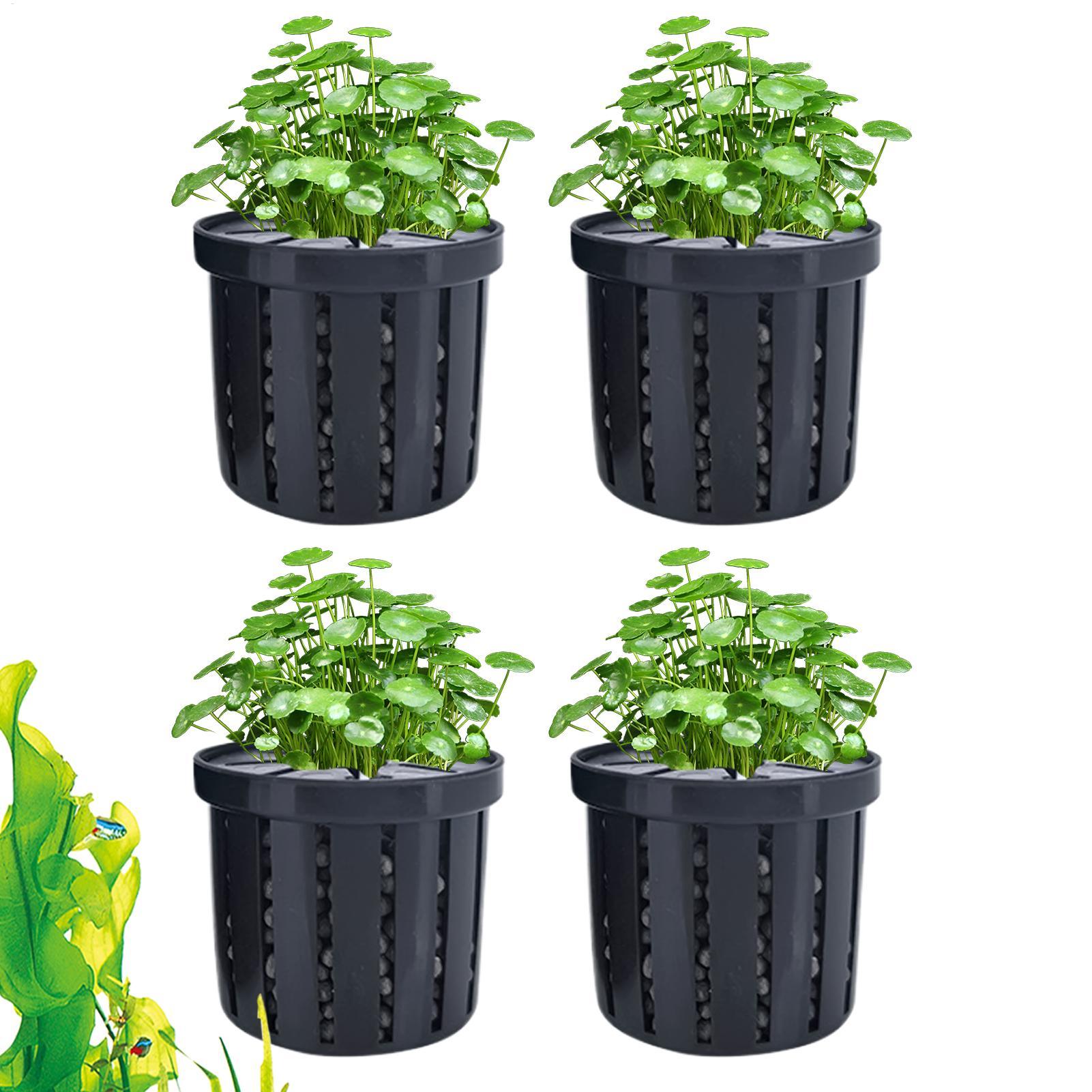 Aquarium Plant Live - Maceta para acuario de 4 piezas