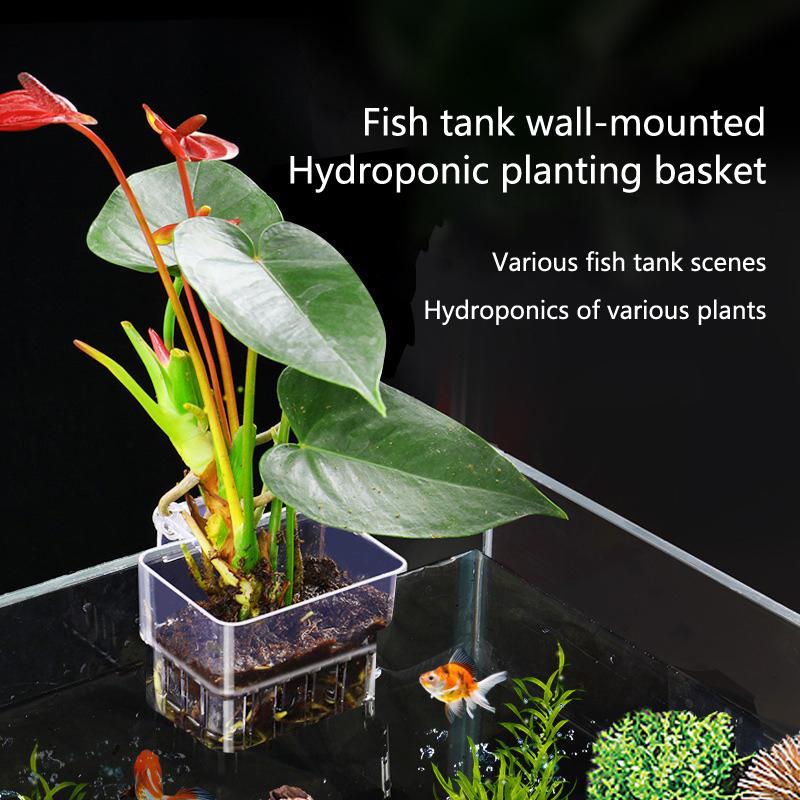 Aquarium Planted Setup - Cestas de Cultivo Hidropónico para Acuarios,