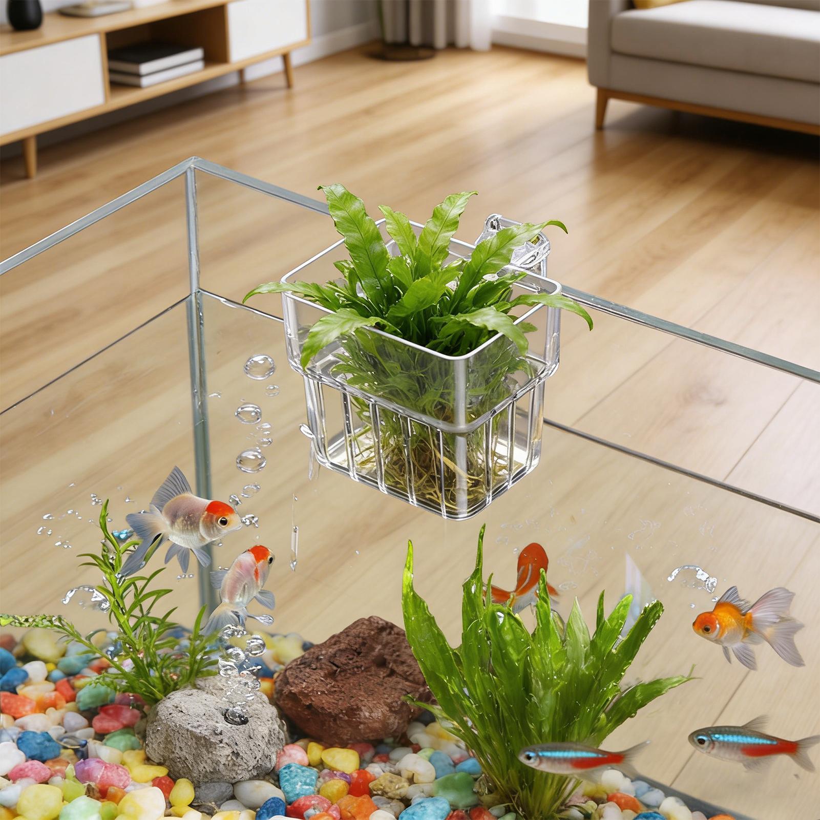 Aquarium Plant Live - Maceta Transparente Colgante para Plantas de