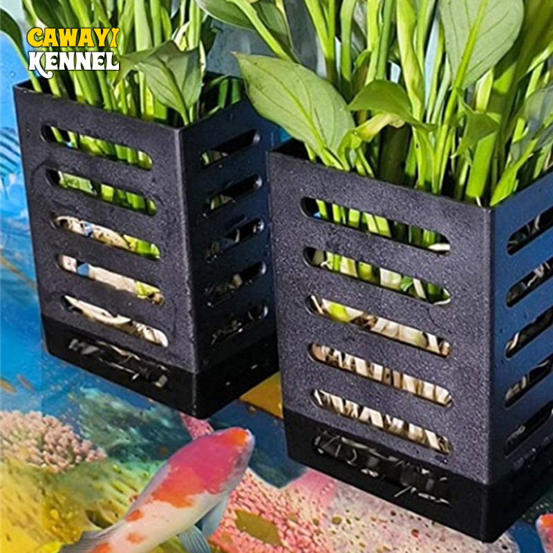 Aquarium Plant Live - Decoraciones para peceras de mascotas, soporte