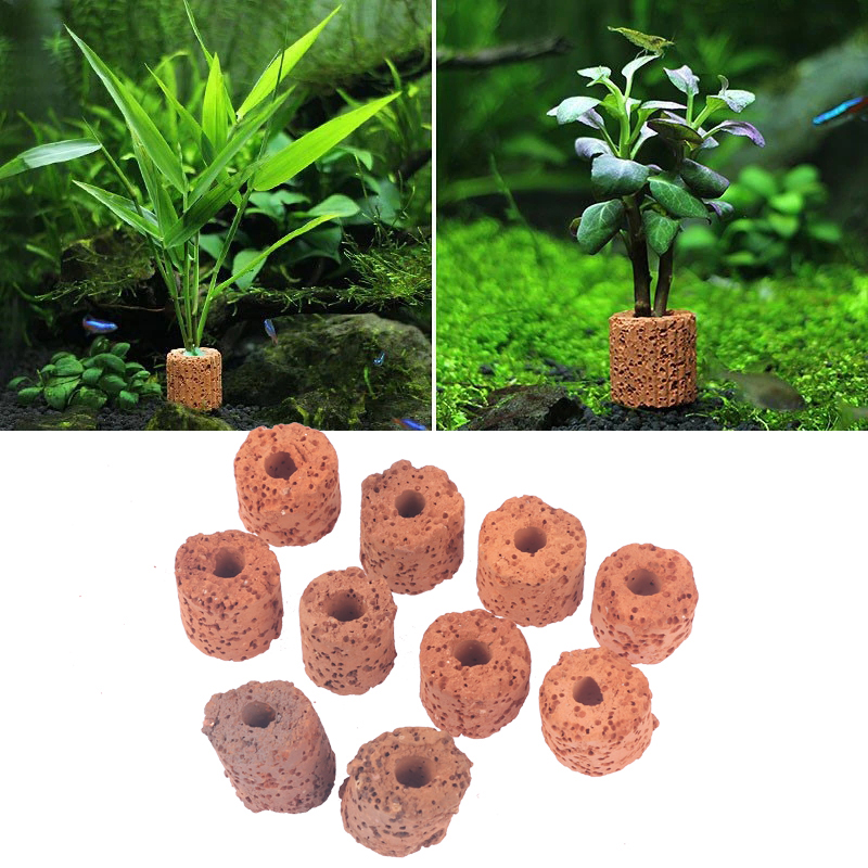 Aquarium Planted Setup - Mini anillo para plantas acuáticas, soporte