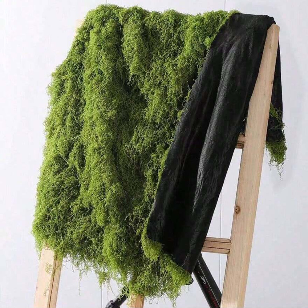 Aquarium Plant Seeds - 1*1m musgo falso manualidades DIY hierba