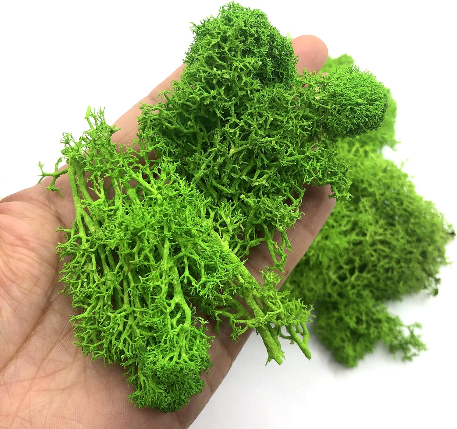 Aquarium Plant Seeds - 200g plantas verdes artificiales Mini paisaje
