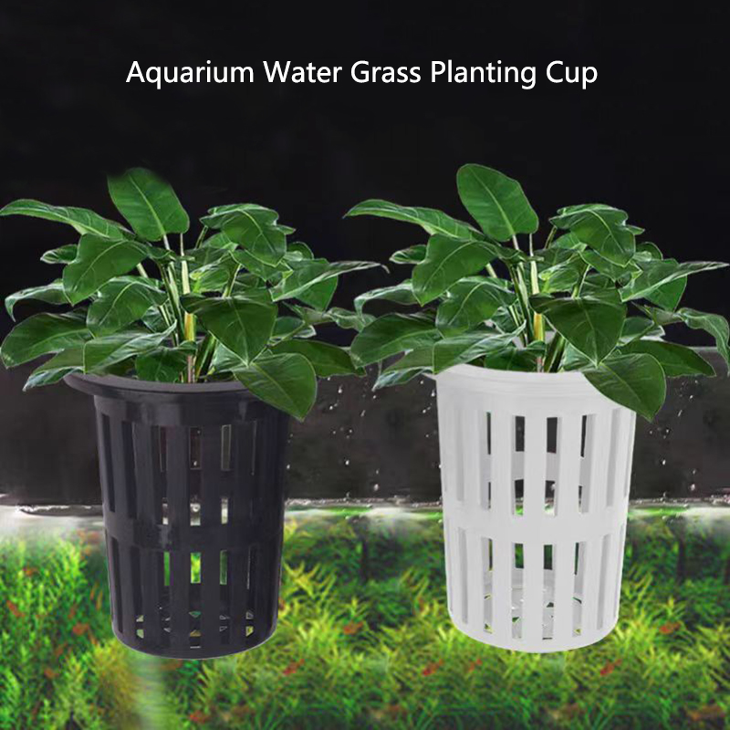 Aquarium Plant Live - Cesta para plantas de acuario, macetero