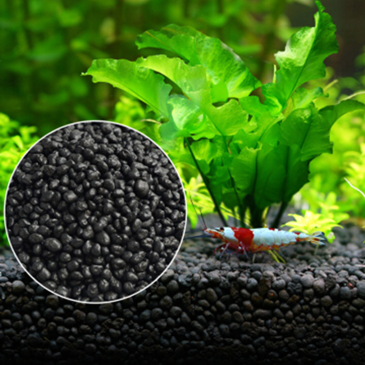 Aquarium Plant Seeds - Semillas de plantas de Acuario, sustrato