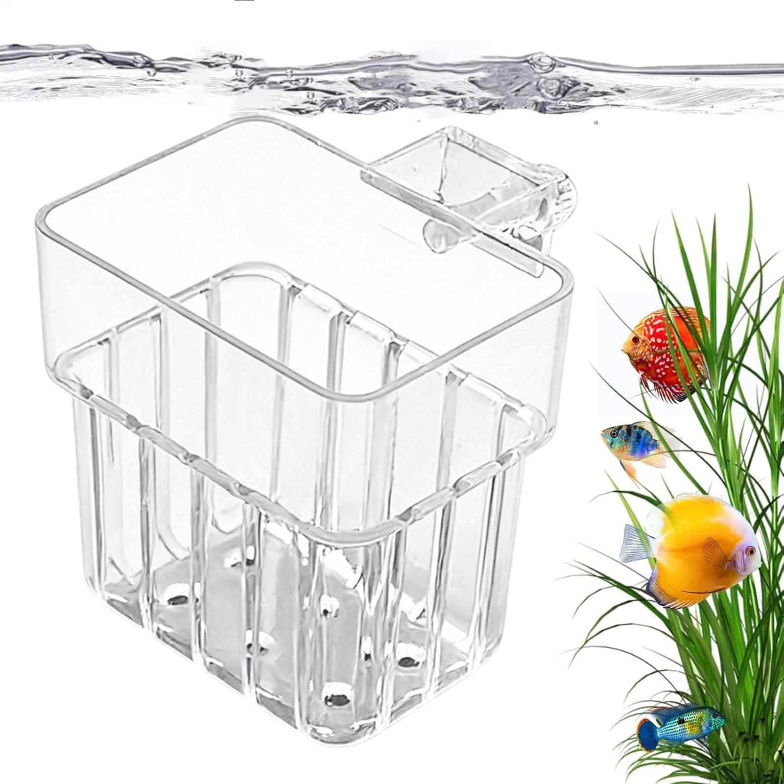 Aquarium Plant Live - Soporte Transparente para Plantas de Acuario,