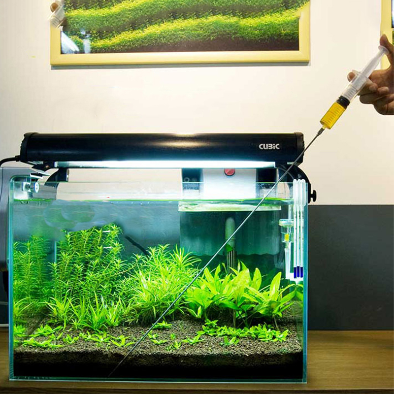 Aquarium Plant Growth - 30cm 50cm plantas de acuario crecimiento