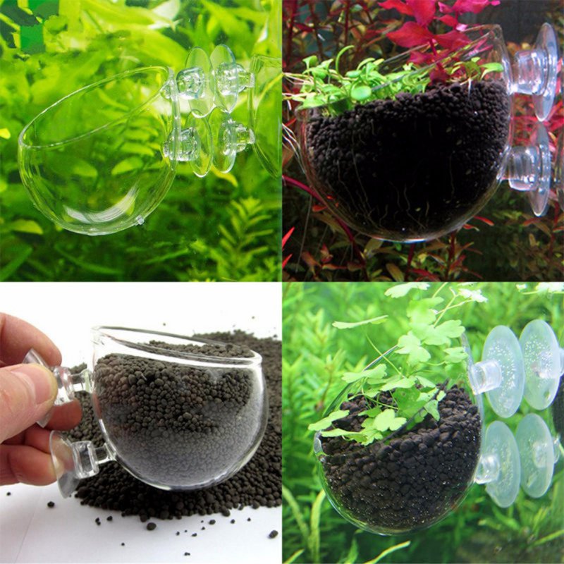 Aquarium Plant Seeds - Maceta colgante para acuario, vaso cilíndrico