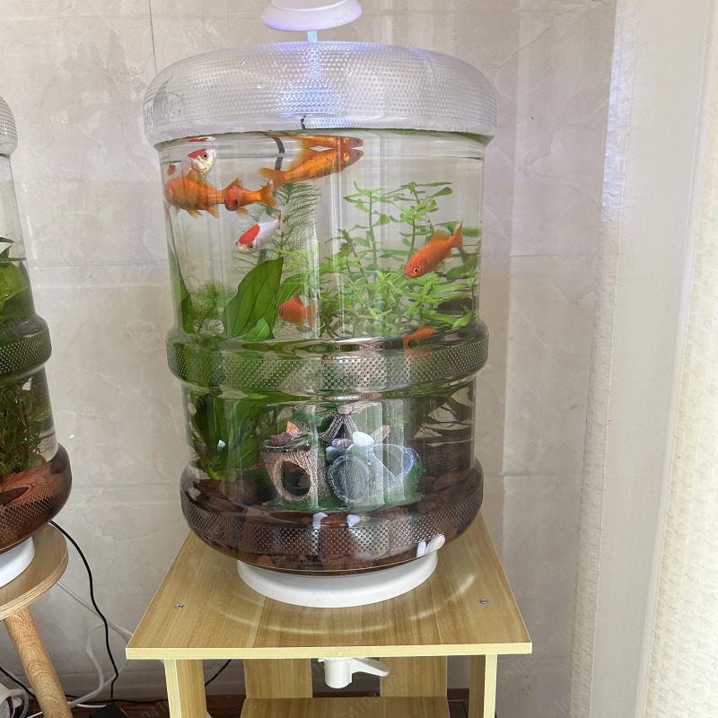 Aquarium Planted Setup - Configuración instantánea para el hogar, pecera