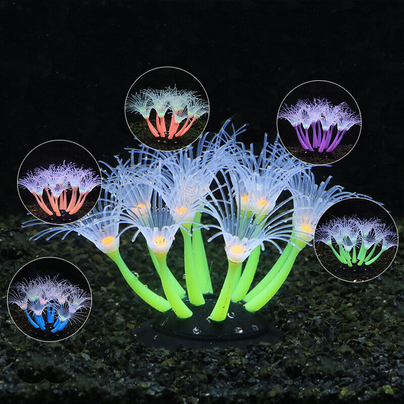 Decoración Subacuática para Ac - Aquarium Plant Live reseña y precio