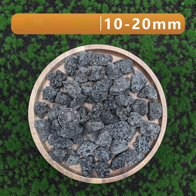 1 kg de sustrato de roca volcá - Aquarium Plant Seeds reseña y precio