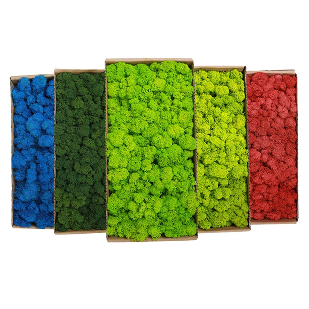 Plantas verdes artificiales de - Aquarium Plant Seeds reseña y precio