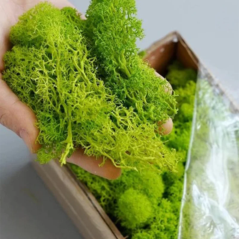 Plantas verdes artificiales de - Aquarium Plant Seeds reseña y precio