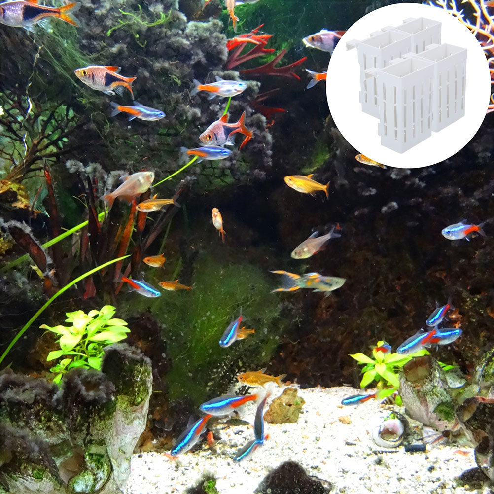 Soporte para plantas acuáticas - Aquarium Plant Nutrients reseña y precio