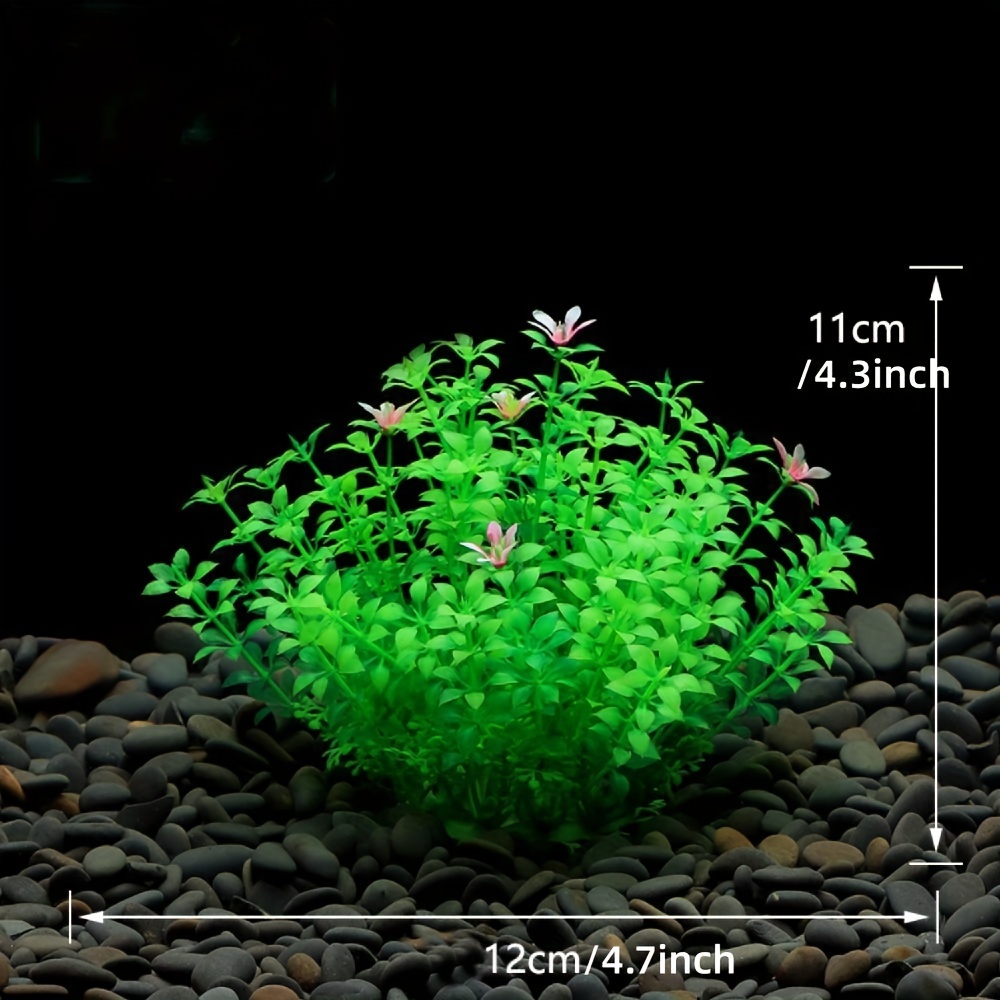 Decoración para Peceras, Plant - Aquarium Plant Seeds reseña y precio