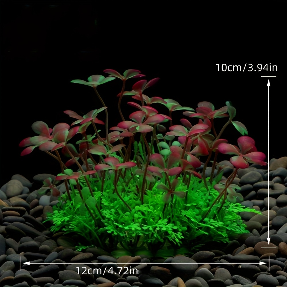 Decoración para Peceras, Plant - Aquarium Plant Seeds reseña y precio