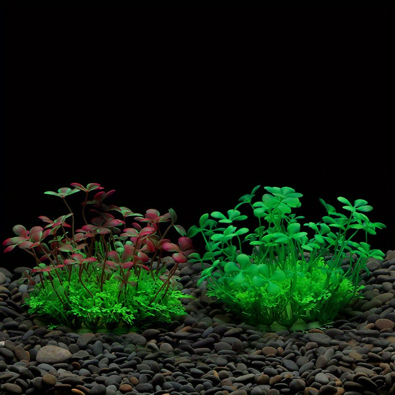 Decoración para Peceras, Plant - Aquarium Plant Seeds reseña y precio