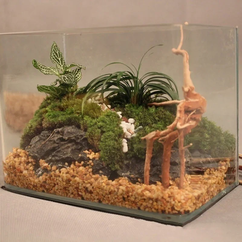 Tronco de árbol Natural de mad - Aquarium Plant Live reseña y precio