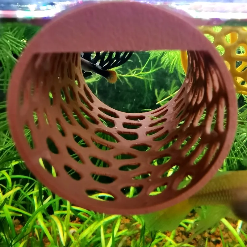 Hamaca Flotante para Betta, Tú - Aquarium Plant Live reseña y precio