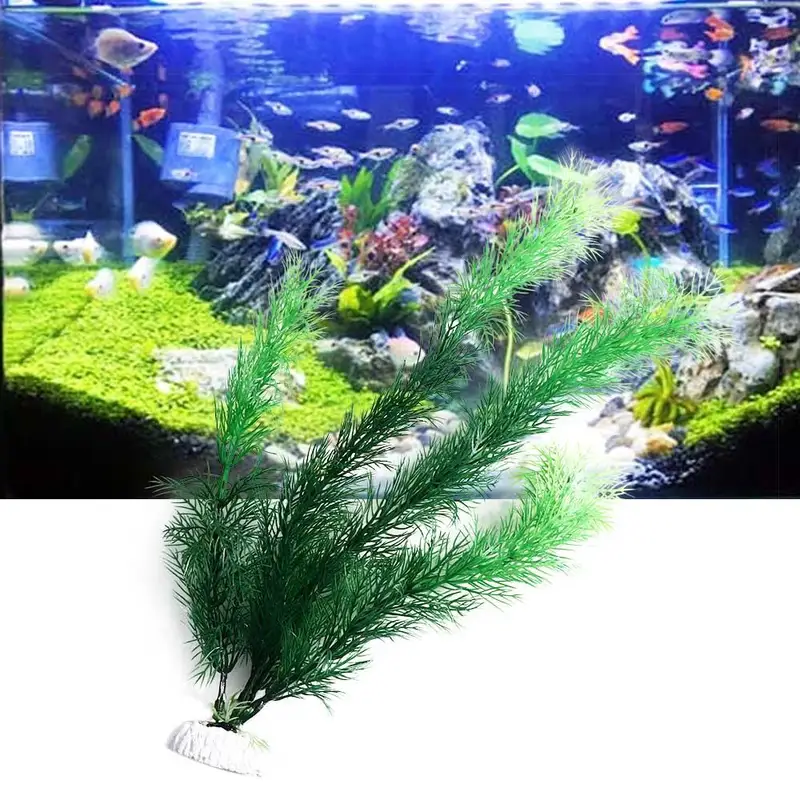 Plantas artificiales para deco - Aquarium Plant Seeds reseña y precio