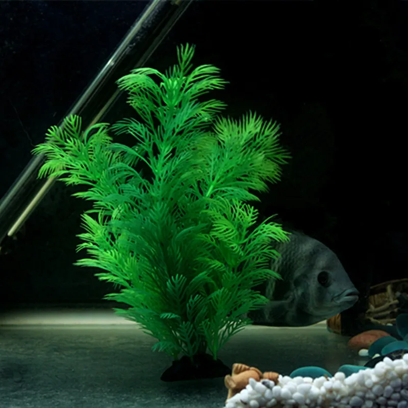 Plantas artificiales para deco - Aquarium Plant Seeds reseña y precio