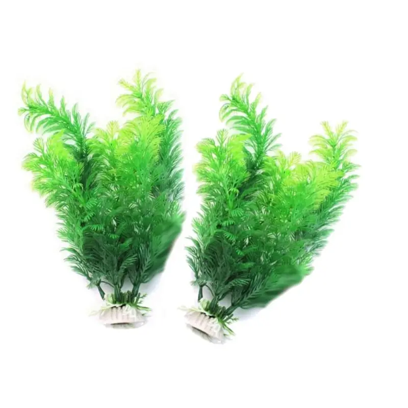 Plantas artificiales para deco - Aquarium Plant Seeds reseña y precio