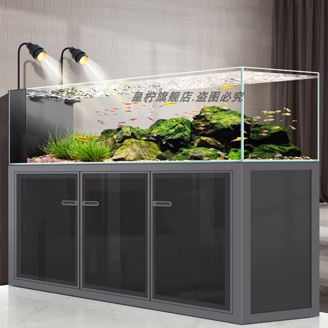 Acuario Yjq Industrial Wind St - Aquarium Plant Echinodorus reseña y precio
