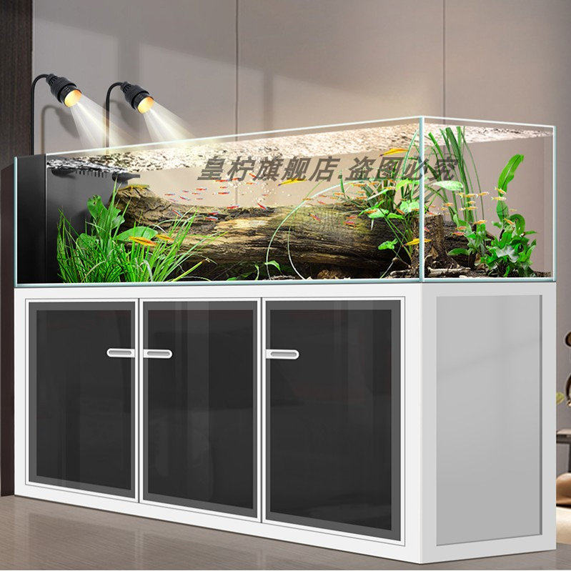 Acuario Yjq Industrial Wind St - Aquarium Plant Echinodorus reseña y precio