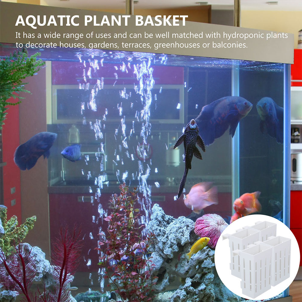 4 piezas de soporte para plant - Aquarium Plant Nutrients reseña y precio