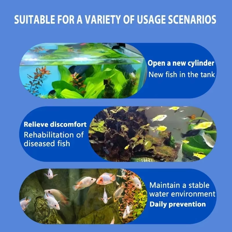 Tratamiento de enfermedades de - Aquarium Plant Seeds reseña y precio