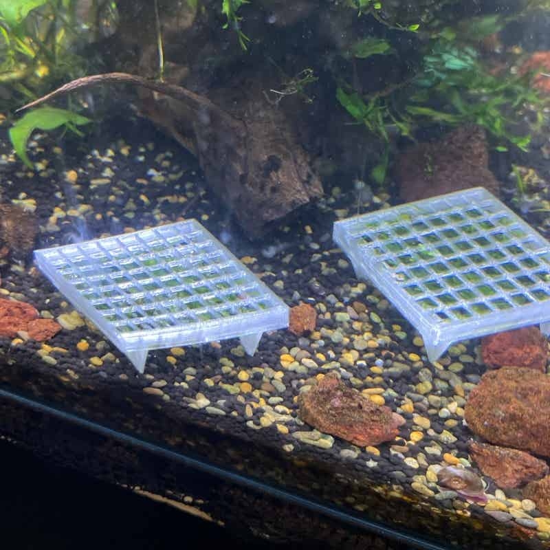 Cesta para Musgo de Acuario, S - Aquarium Plant Echinodorus reseña y precio