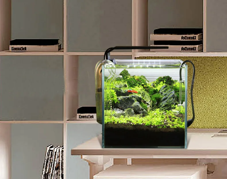 Chihiros Serie C Planta estilo - Aquarium Plant Growth reseña y precio