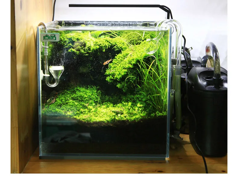 Chihiros Serie C Planta estilo - Aquarium Plant Growth reseña y precio