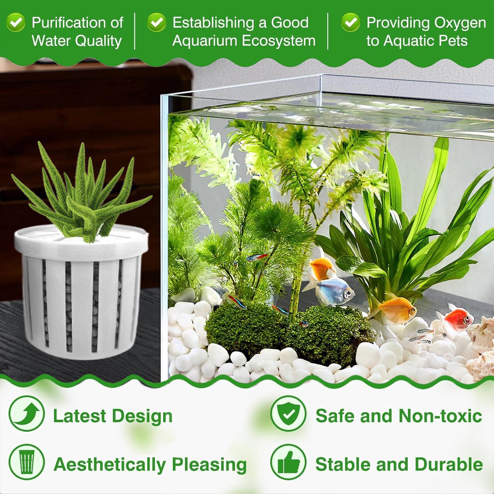 Maceta para acuario de 4 pieza - Aquarium Plant Live reseña y precio