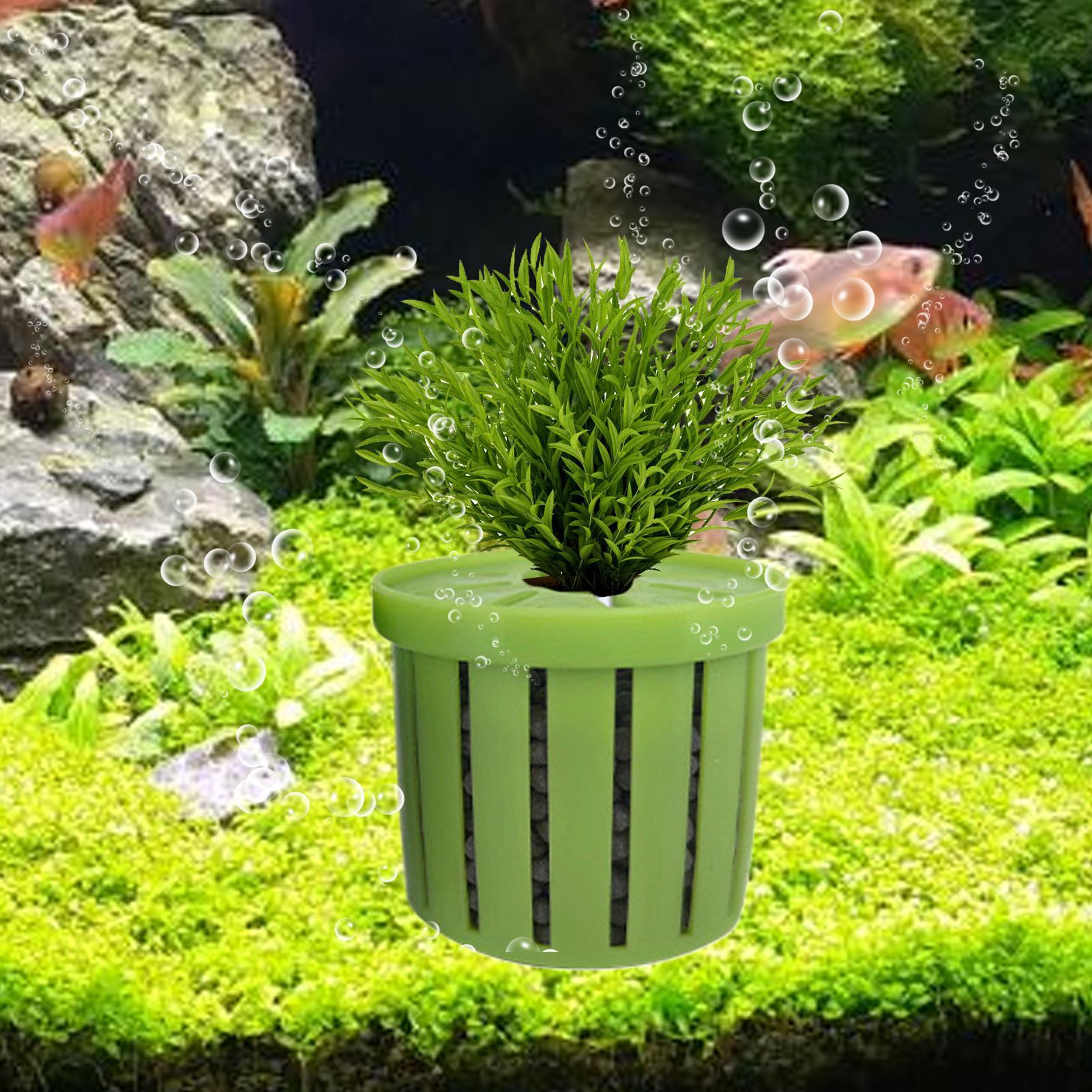 Maceta para acuario de 4 pieza - Aquarium Plant Live reseña y precio