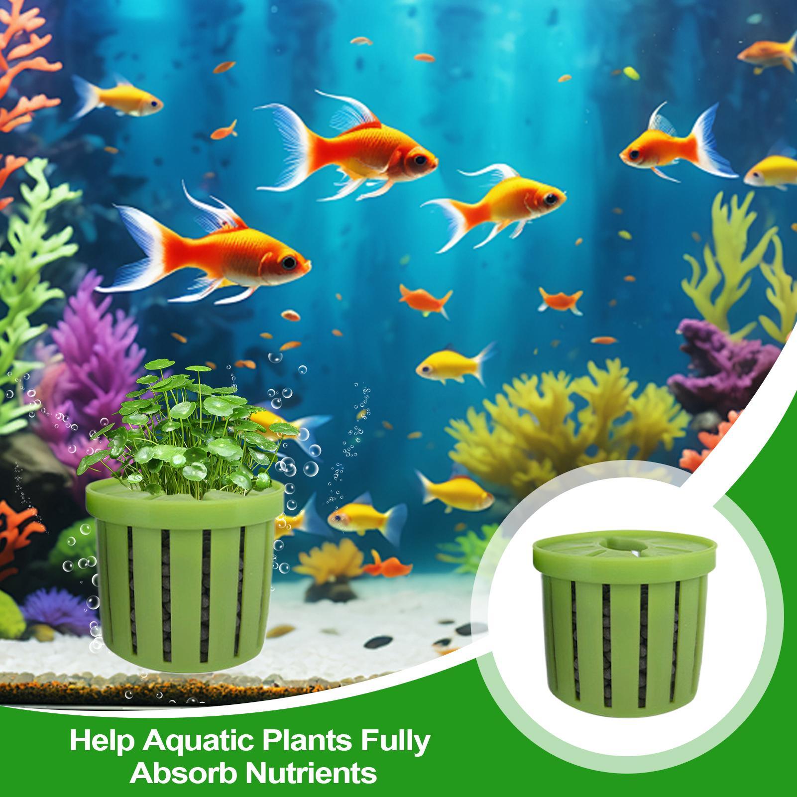 Maceta para acuario de 4 pieza - Aquarium Plant Live reseña y precio