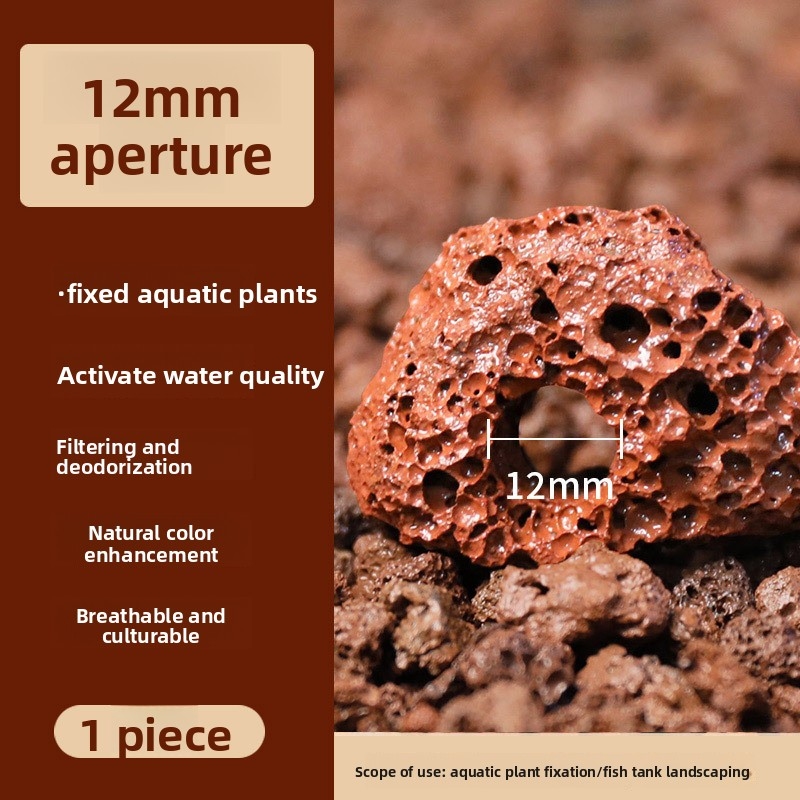 Anillo de Roca Volcánica Roja  - Planted Aquarium Carpet Plant reseña y precio