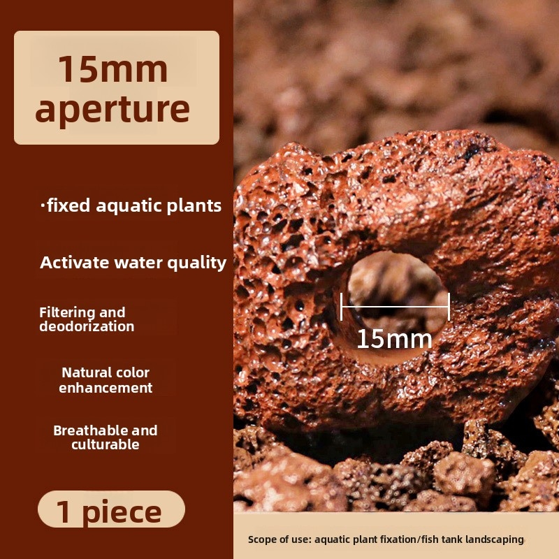 Anillo de Roca Volcánica Roja  - Planted Aquarium Carpet Plant reseña y precio