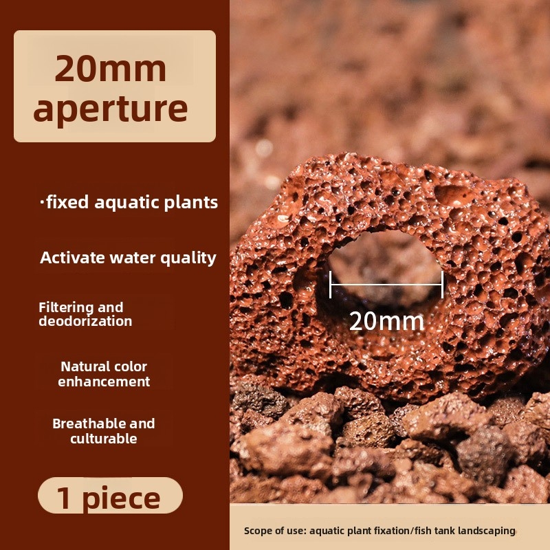 Anillo de Roca Volcánica Roja  - Planted Aquarium Carpet Plant reseña y precio