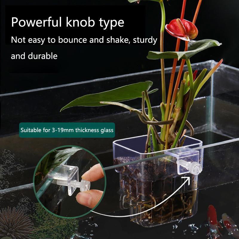 Cestas de Cultivo Hidropónico  - Aquarium Planted Setup reseña y precio
