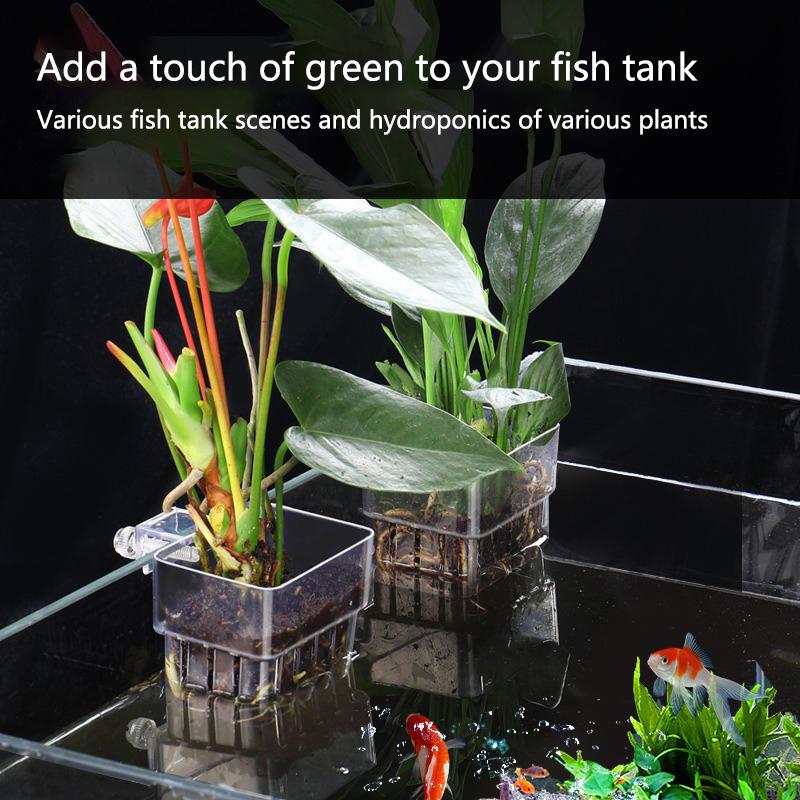 Cestas de Cultivo Hidropónico  - Aquarium Planted Setup reseña y precio
