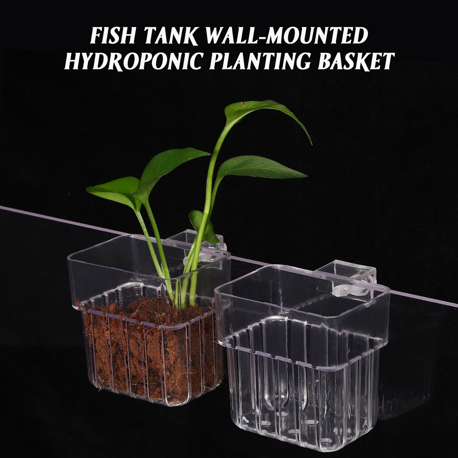 Juego de 4 Soportes para Plant - Aquarium Planted Setup reseña y precio