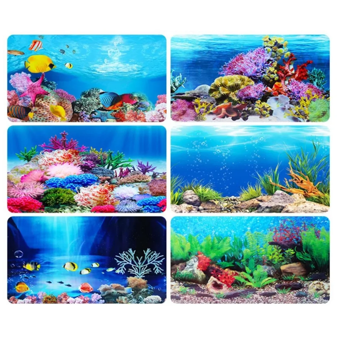 Fondo acuario pegatina 3D cart - Aquarium Plant Seeds reseña y precio