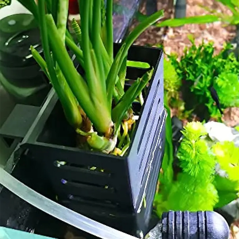 Decoraciones para peceras de m - Aquarium Plant Live reseña y precio