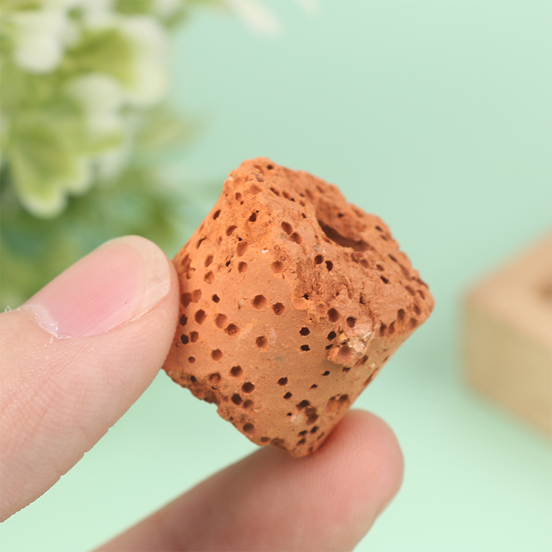 Mini anillo para plantas acuát - Aquarium Planted Setup reseña y precio